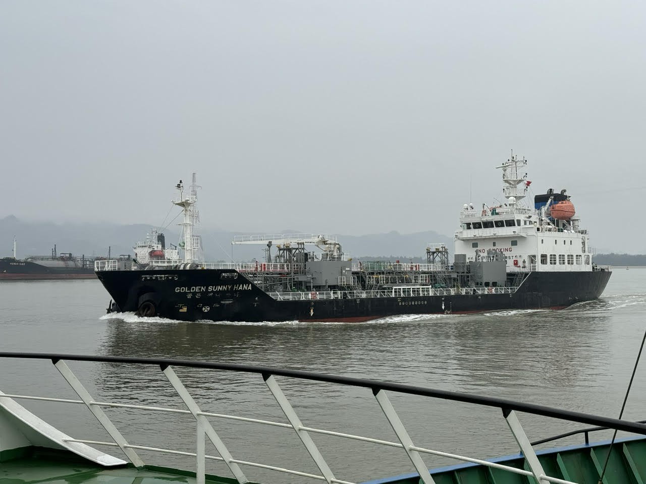 11-1791884323.jpg