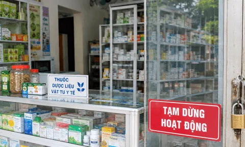 Cơ sở bán thuốc, dược liệu chưa phép phải dừng hoạt động