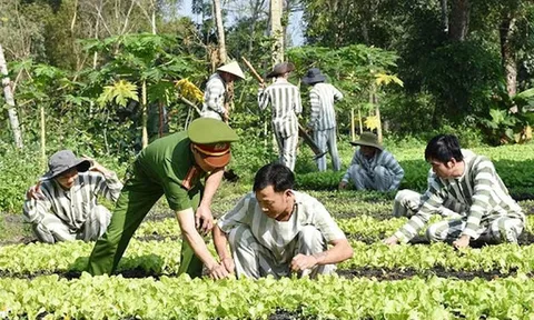 Từ 20/11, người chấp hành xong án phạt tù được vay tối đa 200 triệu đồng
