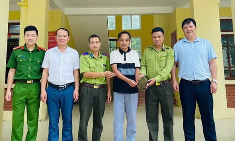 Rùa mỏ vẹt quý hiếm được học sinh phát hiện sau mưa