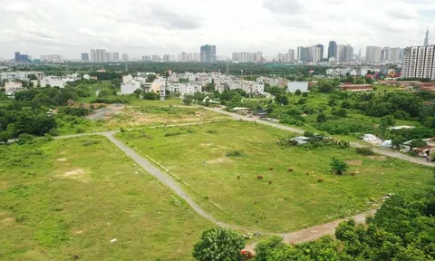 Đề xuất đánh thuế đất bỏ hoang gấp 7 lần đất ở