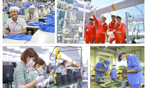 Công khai toàn bộ kết quả xử lý kiến nghị của doanh nghiệp trên Cổng TTĐT Chính phủ