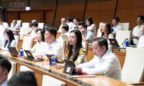 Ngày 20/10, Quốc hội thảo luận nhiều dự án luật thuộc lĩnh vực tư pháp, kinh tế